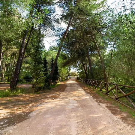 Le Tre Volte Sogliano Cavour