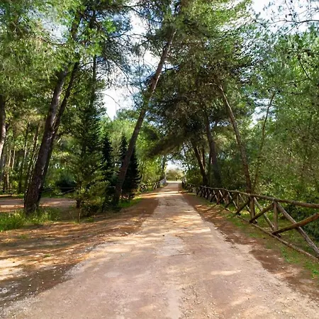 Le Tre Volte Sogliano Cavour